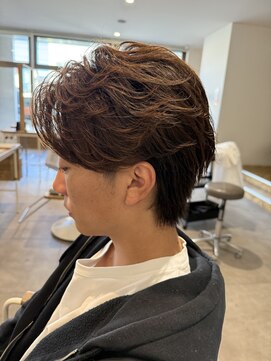 ヤテ(yate') フェザーショート