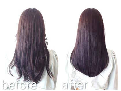 フォトンブリーロ(photon brilo)の写真