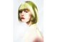 ココンプリュス アンド モナ(COCON+&MONA+)の写真
