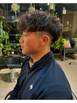 サンズ(suns) 【shuyu】スペインカール