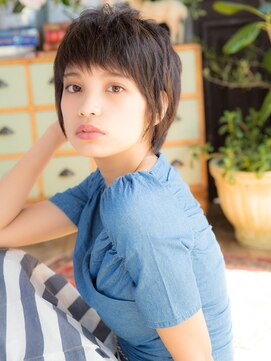 リトル 所沢(little) すっきりショート2015/SS