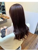 艶ピンクラベンダー