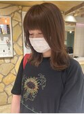ミディアムレイヤー