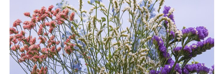 ネッコ(necco)のサロンヘッダー