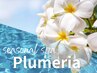 【季節のヘッドスパ】プルメリアspa(5分)+カット+3stepTR￥7000