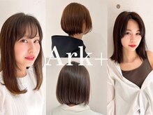 アークプラス(Ark+)