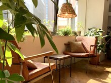 ノル(Knoll)の雰囲気(窓が大きく開放的な空間。植物もたくさんあります。銀座/東銀座)