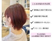 ステラ 嵯峨店(stella)