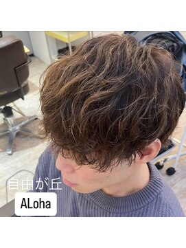 アロハ(ALoha) メンズ ソフトツイスパ