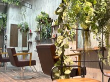 マユリ 相模大野(Mayuri)の雰囲気（植物に囲まれた落ち着いた空間でゆったり過ごせます）