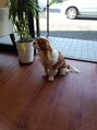 髪空間 プレジール(Plaisir) 柴田 裕由