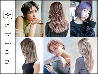 シオン(shion)の写真