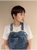 コンパクトショート