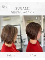 スガミ(SUGAMI)&nbsp;白髪ぼかし／脱白髪染め