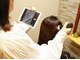 ディアーズ(Dears)の写真