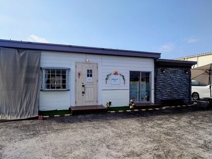 ユライト(Ulight)の写真