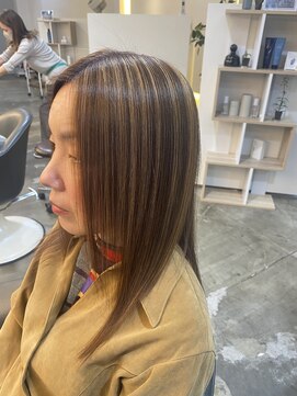 セクション(SECTION) ミディアムレイヤー