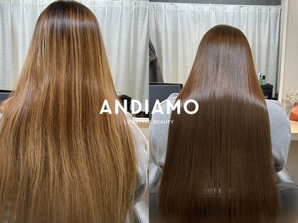 アンディアーモ サカエ(ANDIAMO SAKAE)の写真