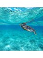 ヘアーアンドライフスタイル ルカヒ(Hair Life style LUKAHI)&nbsp;海と夏が大好きです。　旅先ではウミガメと泳ぎます（笑）