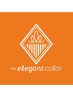 プロエレガントカラー 元住吉店(pro elegant color)