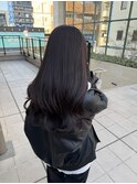 韓国 ショコラブラウン 成城