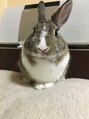 カームヘアー(CALM HAIR) ペットのウサギです♪