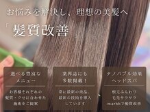 マーシュフラッグ(MARSHFLAG)の雰囲気（ダメージ、エイジング、悩みを解決し、美髪になる「髪質改善」）