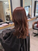 レッドネオ エビス(Redneo ebisu) orange × ハイレイヤー