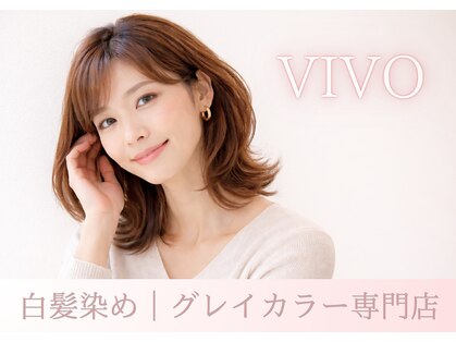 ヴィーヴォ 深江橋店(VIVO)の写真