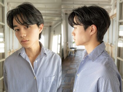 アデリタ(Adelita)の写真