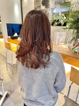 エイゾー(EIZO) レイヤー/レイヤーカット/ゼロテク/ゼロテクカラー/ケアカラー