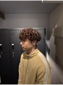 プードルパーマ