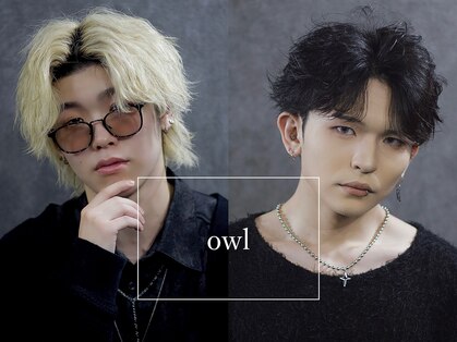 アウル 心斎橋(owl)の写真