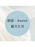 美眉wax｜《 初回の方 》《 4week以降の方 》