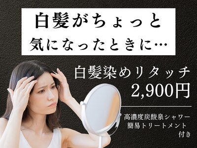 レイディバードカラー ヤオコー足利八幡店