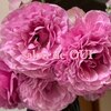 サロンドウイ(salon de OUI)のお店ロゴ
