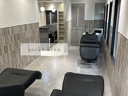 ジェコ ブラン(gecko. brun)の写真