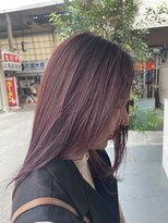 シダ(sida)&nbsp;【sida 保住】秋カラーベルベットピンク