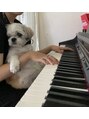 バロン(baLon.)&nbsp;東北出身です犬派Instagram@balon_anri