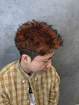 ネクストネオ 静岡(NEXT NEO) エンドカラー