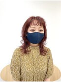 ミディレイヤー
