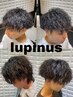 【平日限定】メンズパーマ　￥15000→12000