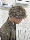 プードル風ツイスパ