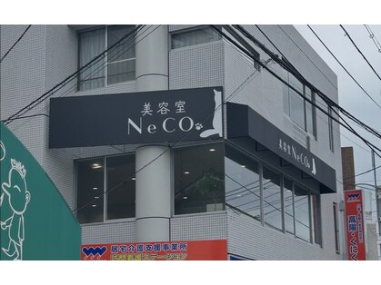 ネコ(NeCO.)の写真