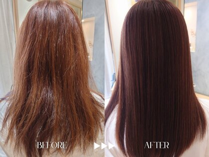 トレランス(TOLERANCE)の写真