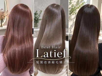 ラティーフ(Latief)の写真