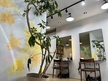 リンク(Link)の雰囲気（シンプルで落ち着ける空間となっています/綱島/新綱島/髪質改善）