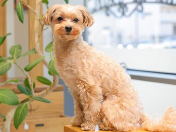 本山駅の美容院　Famille【ファミーユ】