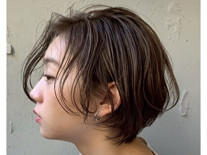 バロン(baLon.)の写真