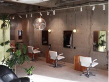 ハクボ(hakubo)の雰囲気（西陽が入る店内、五感でリラックスしにいらして下さい。）